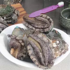 해스레 완도전복10미(500g)손질칼제공