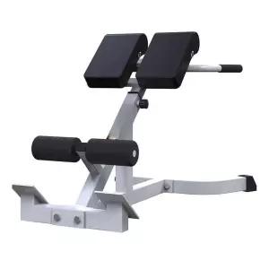 헬스장 백익스텐션 기구 허리 복합헬스머신 체어