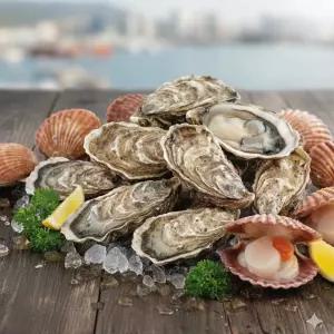 고성 홍가리비 2kg + 석화 3kg 세트 가리비찜 버터구이