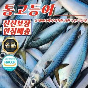 동해안 생물 급냉 통고등어 3미 x 1팩 (팩당 2kg내외)