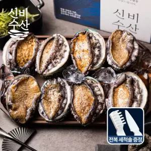 신비수산 바다 품은 완도 활전복 선물세트 1kg (7~8미)