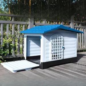 실외개집 야외 대형견 파란색 하우스 마당 강아지 시골 큰개