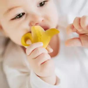 올리앤캐롤 아니타바나나 234589