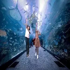 두바이/아부다비 6일 #겨울방학 아동동반 가족여행 #그랜드하얏트호텔+워터파크 #워너브라더스월드/페라리월드 #분수쇼 관람식  #두바이몰 아쿠아리움