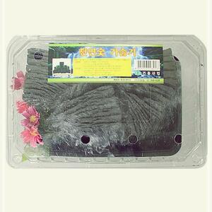 셀럽하우스 참 숯 가습기 다용도 공기 정화 탈취 요리 숯화분 참숯가습기 미니가습기 자연가습기