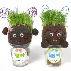 잔디 인형 만들기 어린이 키우기 5인 잔디 인형 키트 세트 과학실험 아트키트 창의력 꾸미기 장난감