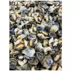 참소라살S 10kg 피뿔고둥살 냉동 소라살 대용량 벌크 (WFKMVRH)