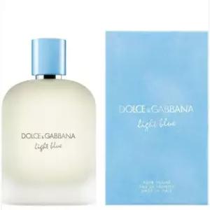 돌체앤가바나 라이트 블루 뿌르 옴므 EDT 100ml 1개