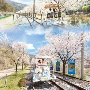 [청도] 레일바이크 이용권(12/1~)/레일바이크/청도가볼만한곳/경북가볼만한곳/경북/데이트/아이와함께/실외