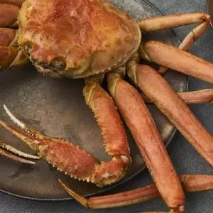 러시아 활 대게 1kg [활 선택] x 4개