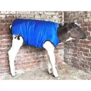 송아지방한복 조끼 깔깔이 겨울 옷 목장 소 농가 패딩 방수 가축