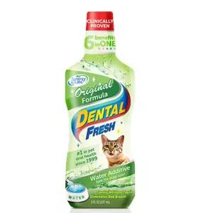 우리 고양이 이빨 덴탈 오리지널 치약 구강 애완용품