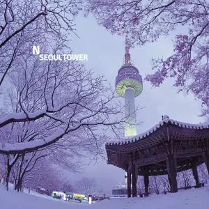 [남산] N서울타워 전망대 이용권