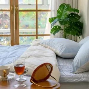 ( )겨울 이불 극세사 SS 베개커버 호텔 따뜻한 블루