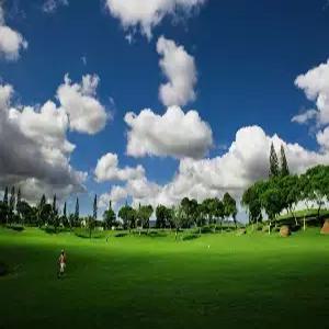 하와이 골프 6일 #다색골프 #18홀*2회 #하와이프린스/와이켈레GC #하얏트리젠시와이키키 #2인출발가능 #시티투어 #하나투어스마트카드