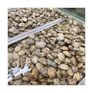 크고 쫄깃한 남해 활 왕바지락 5kg 6kg