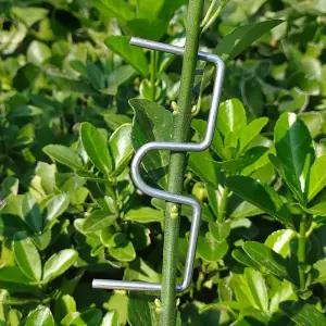 50개 나뭇가지 고정 E클립 이클립 사과 배 감 대추 나무 묘목 가지유인 지지대 과수원 원예 농자재 결속기