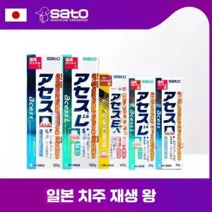 일본 사토 sato acess L 치약 잇몸 관리 잇몸 강화 구취 제거 상쾌한 입안 160g