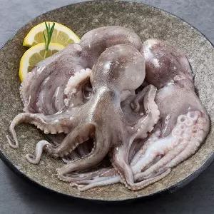 [지투지샵] 국내산 활 쭈꾸미 1kg 암수혼합