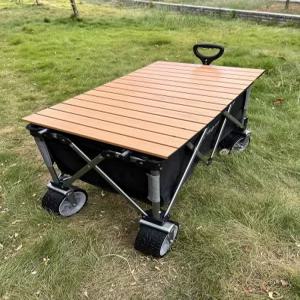 소형 접이식 손수레 트롤리 폴딩카트 핸드카트 가정용