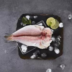 [제주직송] 제주 옥돔 (특대) 3kg