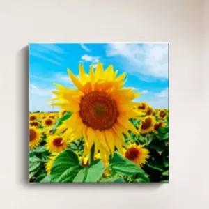 인테리어 액자 해바라기 그림 해바라기그림 해바라기사진 해바라기액자 인테리어액자 인테리어사진