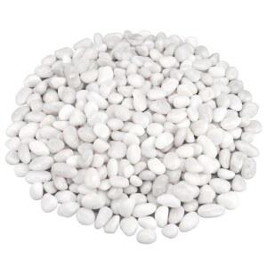 수족관 자갈 조경 장식용 정원 돌 충전재 가정용 장식 화단 어항 식물 꽃병 다육식물 10파운드 흰색