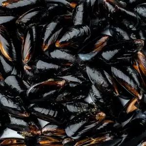 제철 국내산 2kg 내외 180미 홍합