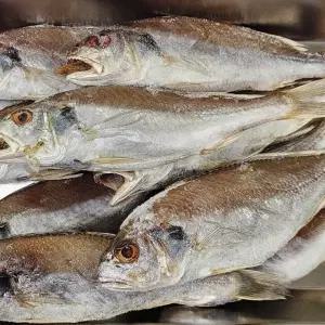 7-10미 반건조 국내산 백조기1kg