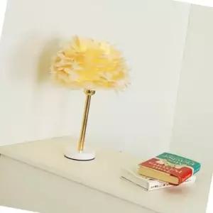 피치색 깃털 스탠드 조명 거실 인테리어 식탁 사이드 테이블 (WFJ4YRL)