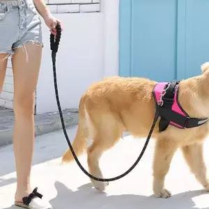 [하프클럽/알티피아]PET 대형견 리드줄 강아지 애견 산책줄 목줄 2m