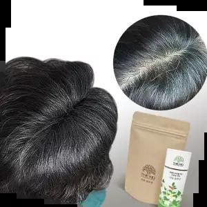 흑채파우더 더모솔루션 한방 천연염색 흑채 본품+리필 정수리탈모