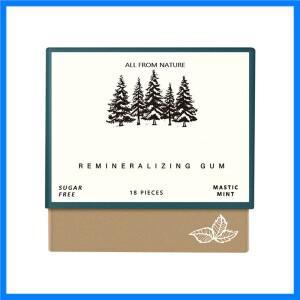 리미네랄라이징 츄잉껌 2025 유기농 천연 매스틱 민트 껌 무설탕 신선한 호흡 치아 건강 에나멜 케어 4박스