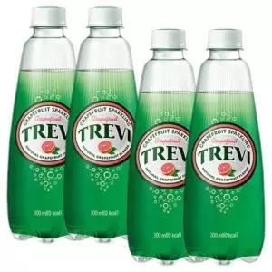 롯데 트레비 자몽 300ml x 40PET (20펫x2박스)