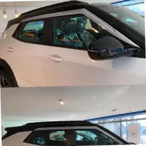 트레일 블레이저 도어 햇빛 차양 가리개