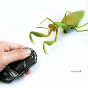 사마귀 무선 RC 조정 작동완구klm985