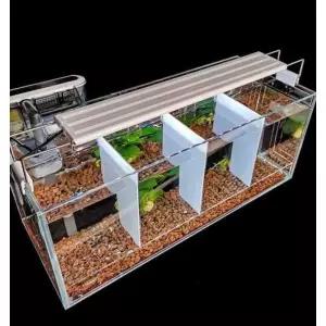 분조 칸막이 어항 격리 열대어 블랙 덮개 격리