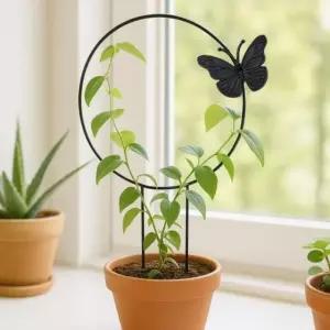 식물 모양 잡아주는 화분지지대 나비 포인트 원형 지지대 (WFJ678P)