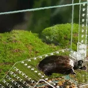 쌍문상회 달팽이 거북이육거북이쉼터 놀이터 건조대 은신처 소형