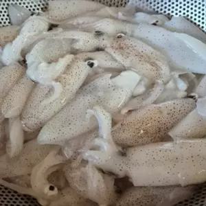 제철 호래기 자연산 활 생물 꼴뚜기 호래기 회 급냉 (냉동 호래기 500g)