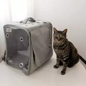GGRO 고양이 이동용 백팩 강아지캐리어 고양이이동장