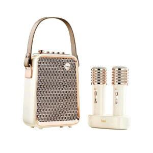 [미국배송] 무선 마이크 2개가 장착된 디붐 송버드-HQ2 노래방 기계 성인 여자 아이들을 위한 50W 사운드 블루투스 스피커 가정용 오디오 믹서 시스템 지원 TF/AUX/USB 모든 연령대를 선물