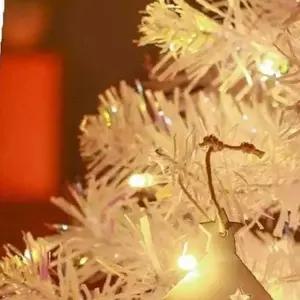 쌍문상회 크리스마스 LED 전구 50구 웜컬러 투명선 장식용 조명 피켓