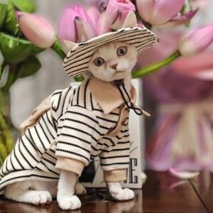 고양이 옷 강아지 귀여운 셔츠 부드러운 반려동물 모자 애견 실내복 줄무늬 외출복 가을