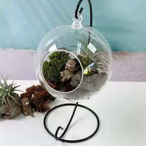 이오난사 투명 행잉 수달 쉼터 비바리움 만들기 키트