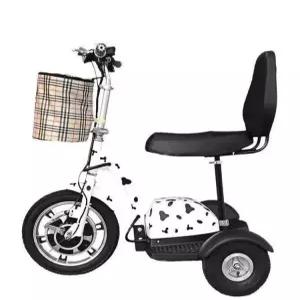 세발 전기자전거 성인용 어르신 접이식 여성용 배달용 라이딩 삼륜전동자전거 동반 경량 전동차