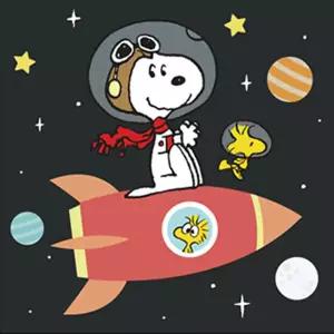 DIY 그리기 페인팅 피너츠 스누피 우주여행 25X25 스누피 diy 페인팅그리기