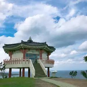 대마도 2일 #쓰시마링크호 #오후출발-리턴 #소아루 온천 리조트 #BBQ특식 #티아라몰 #대마도 핵심관광지 #온천욕