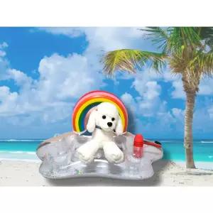 강아지튜브 애견 플로팅트레이 컵홀더 수영용품 반려 장난감 물놀이 팻이