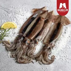 [마녀바스켓] 녹진한 손질 통찜용 오징어 자연산 500g(4-7미)